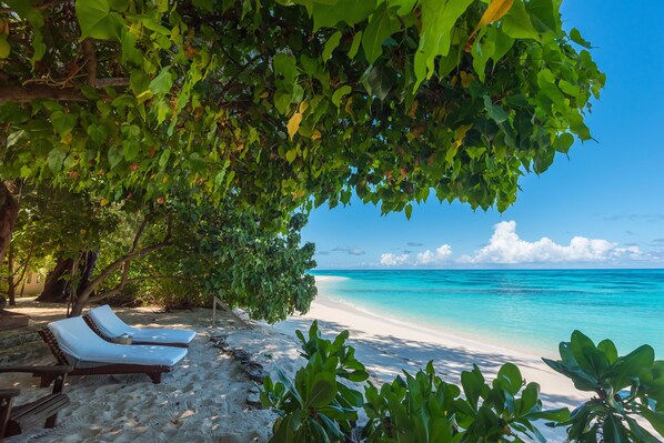 Deluxe Beach Cottage | Beach/ocean view - Denis Private Island (Denis Island)