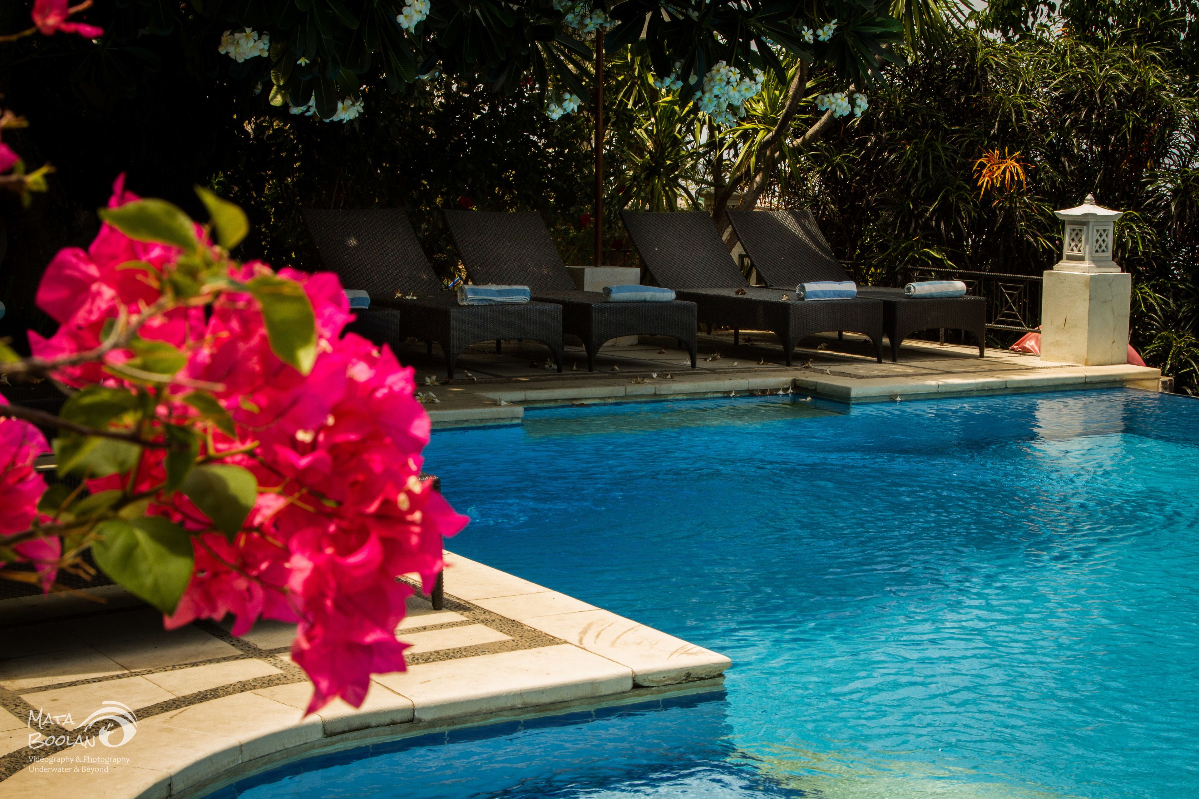 outdoor pool, pool umbrellas, pool loungers