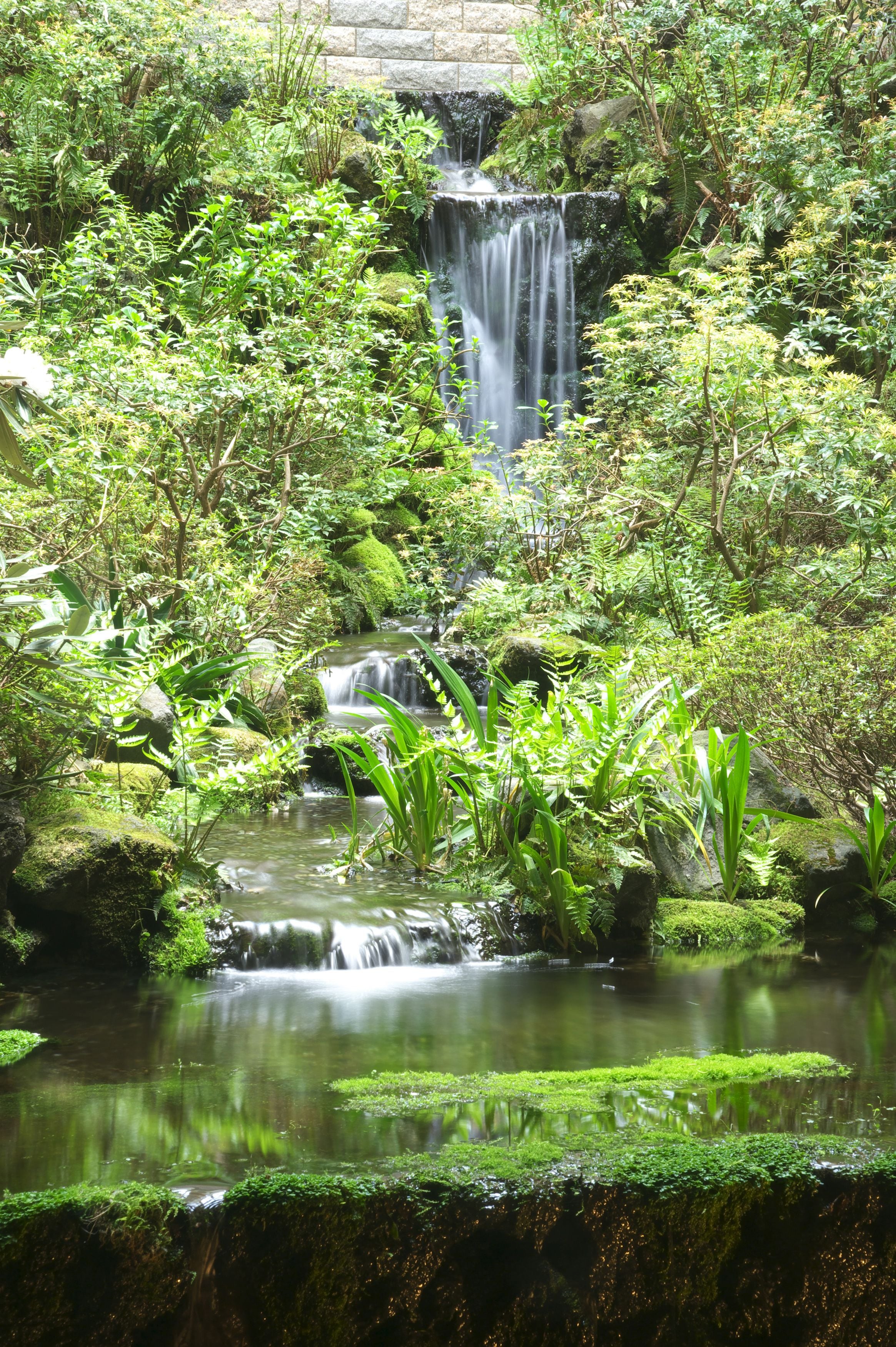 A waterfall cascading over rocks into a pond surrounded by lush greenery.