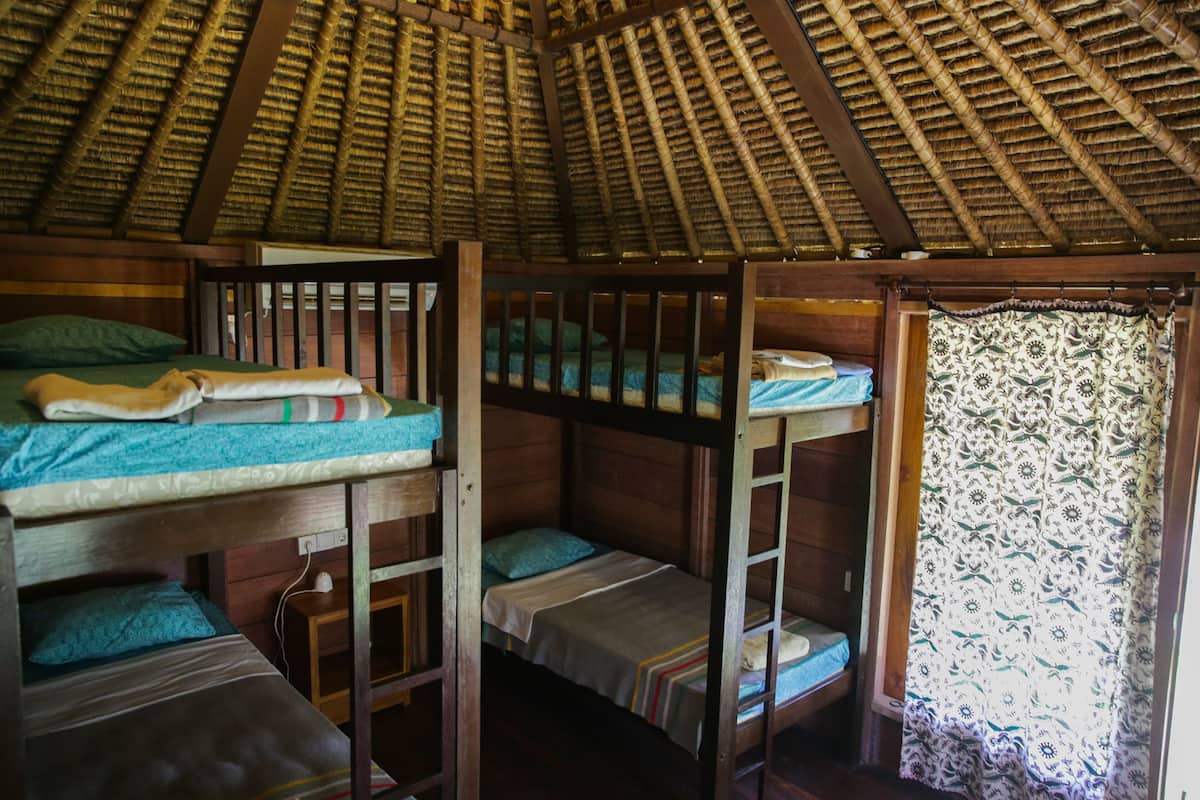 A rustic cabin with wooden bunk beds, a thatched roof, and a window with patterned curtains.