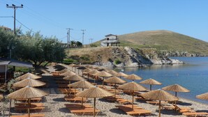 A beach with rows of sun loungers and thatched umbrellas, a clear sky, and a hill in the background. - Lemnos Village Resort (Lemnos)