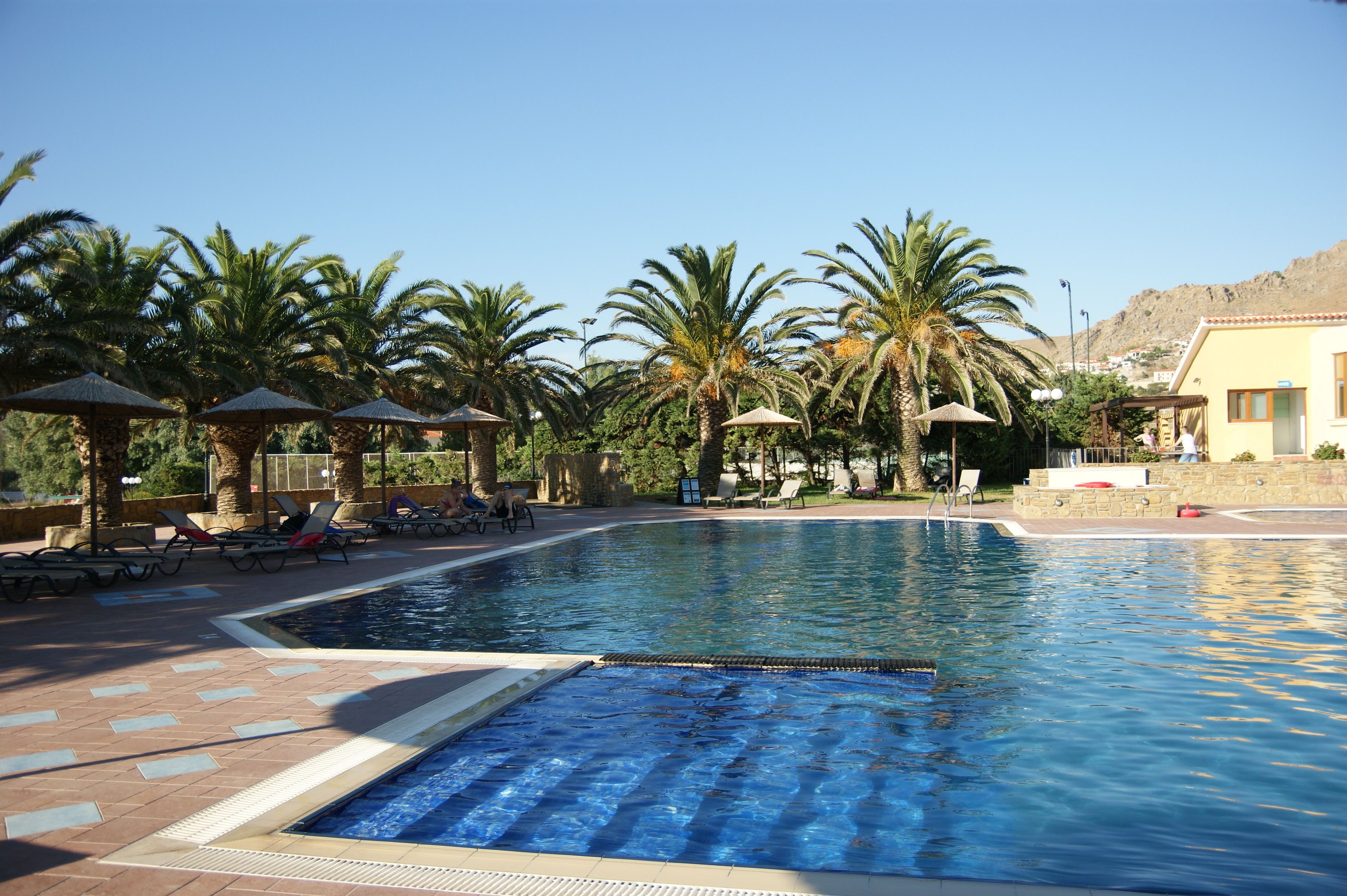 A swimming pool with sun loungers and palm trees.