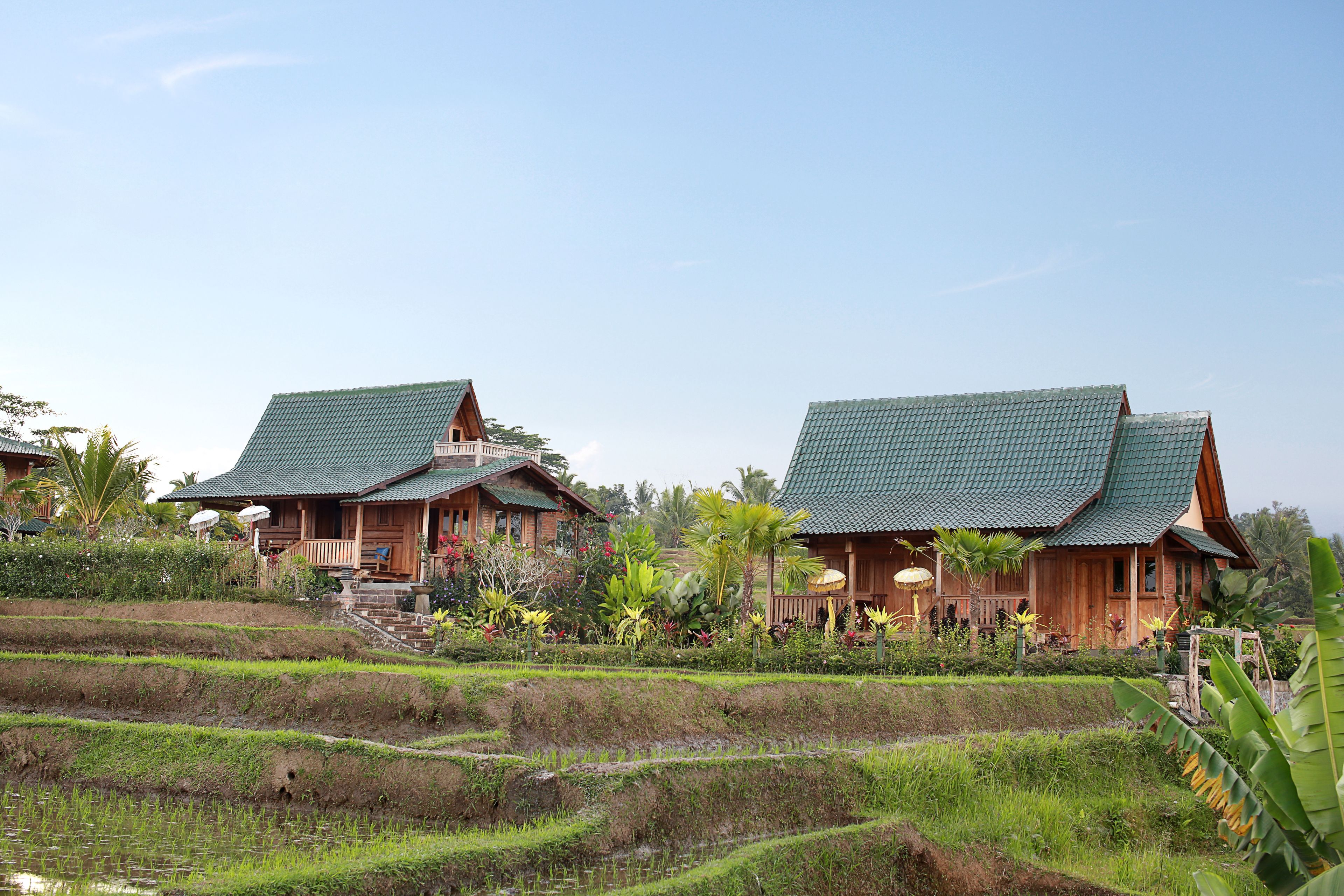 Gladak with Massage | Garden view