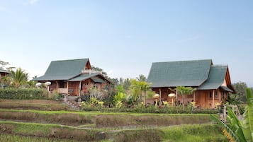 Gladak with Massage | Garden view