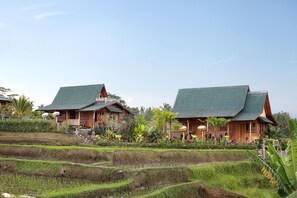 Gladak with Massage | Garden view