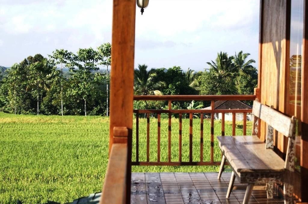 A wooden deck with a bench, overlooking a lush green field and palm trees.