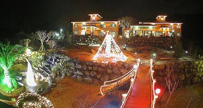 Palace in the Forest Pension