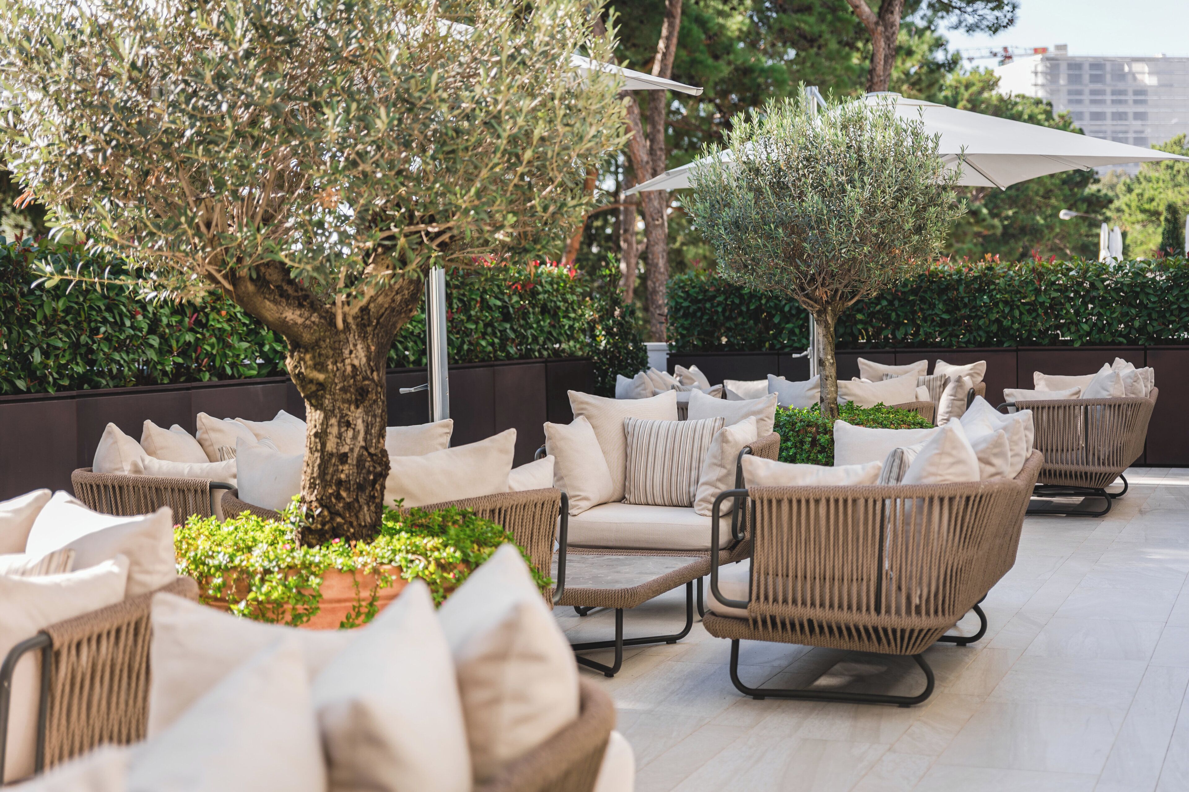 Un espace extérieur aménagé avec des chaises et des coussins en osier, un arbre et un parasol blanc.