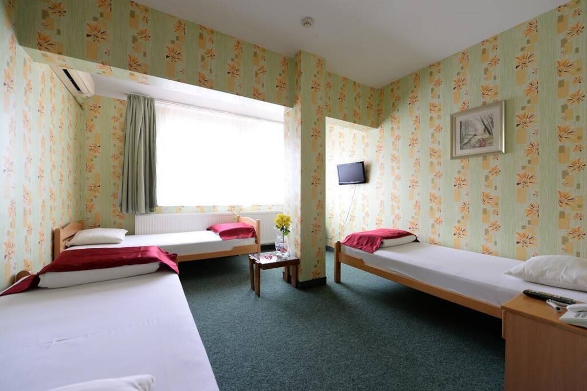 A room with two single beds, a small table with a vase, a television on the wall, and a window with curtains.
