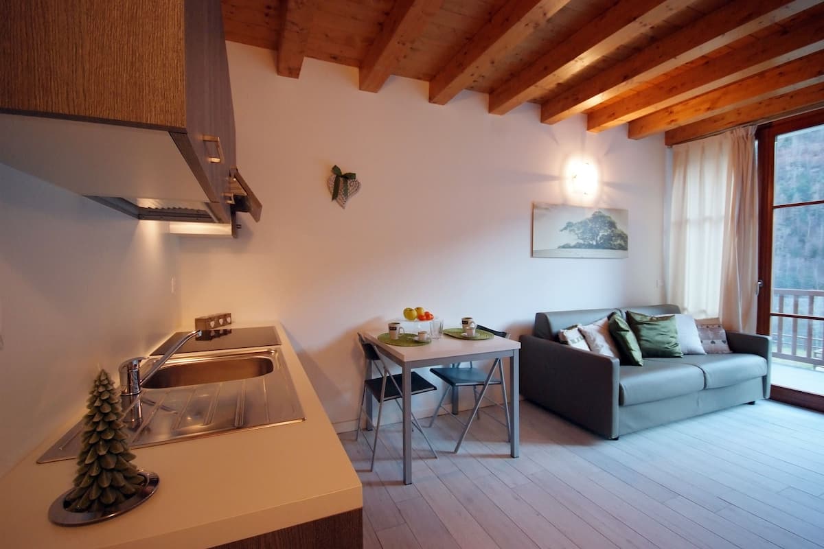 Basic Apartment | Private kitchenette | Fridge, microwave (on request), stovetop, cookware/dishes/utensils