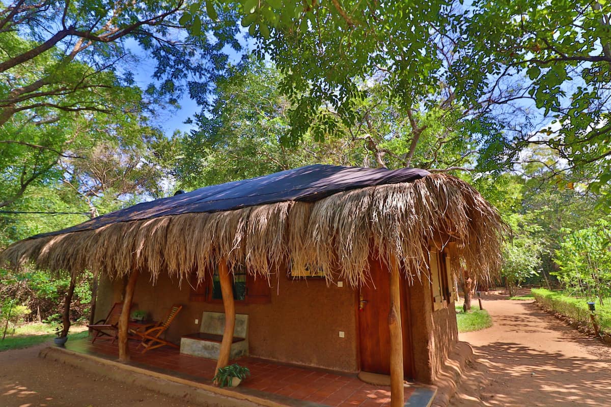 A thatched-roof hut with a porch, surrounded by trees and a dirt path.