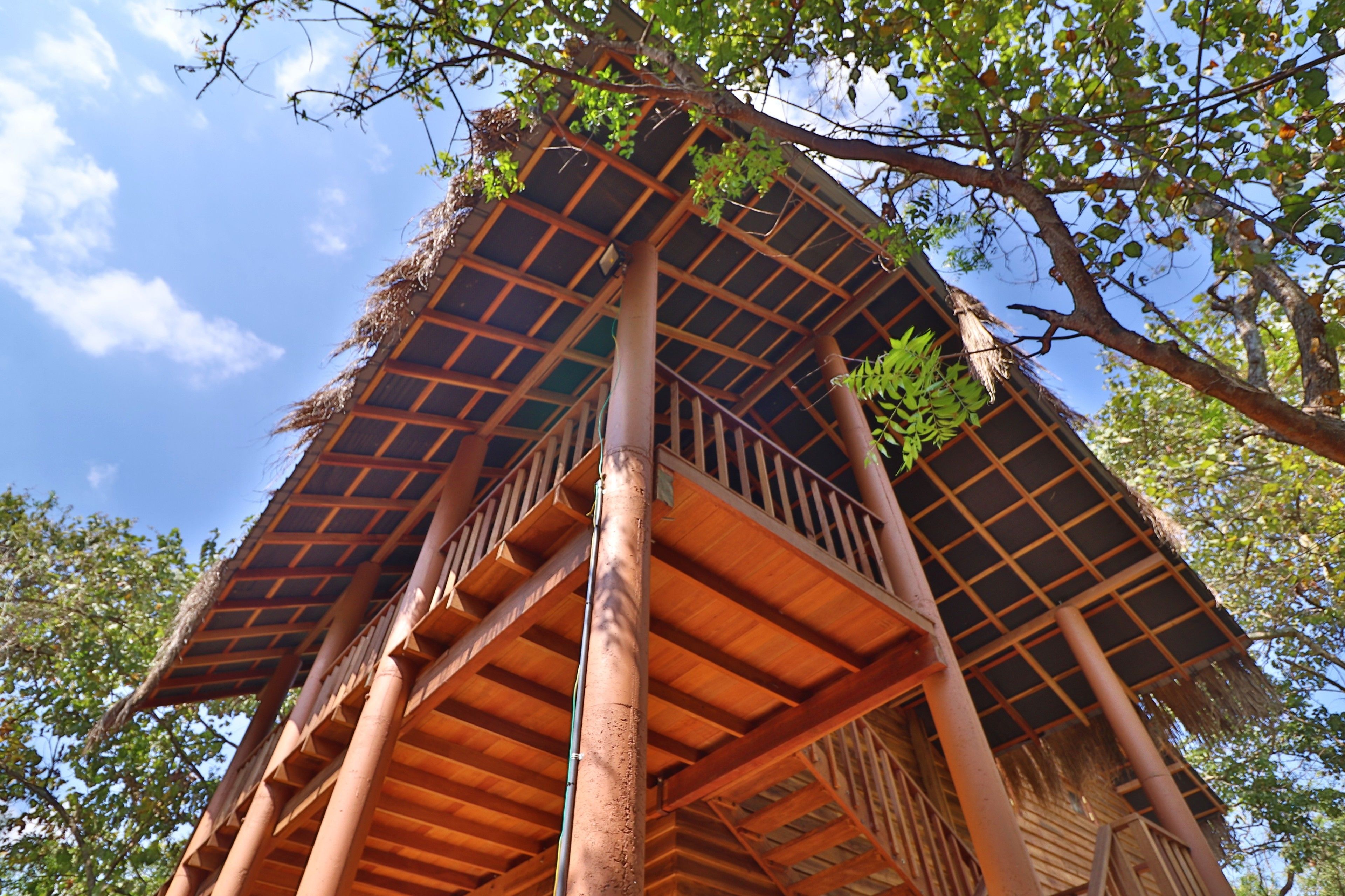Tree House | 1 chambre, minibar, coffres-forts dans les chambres, bureau