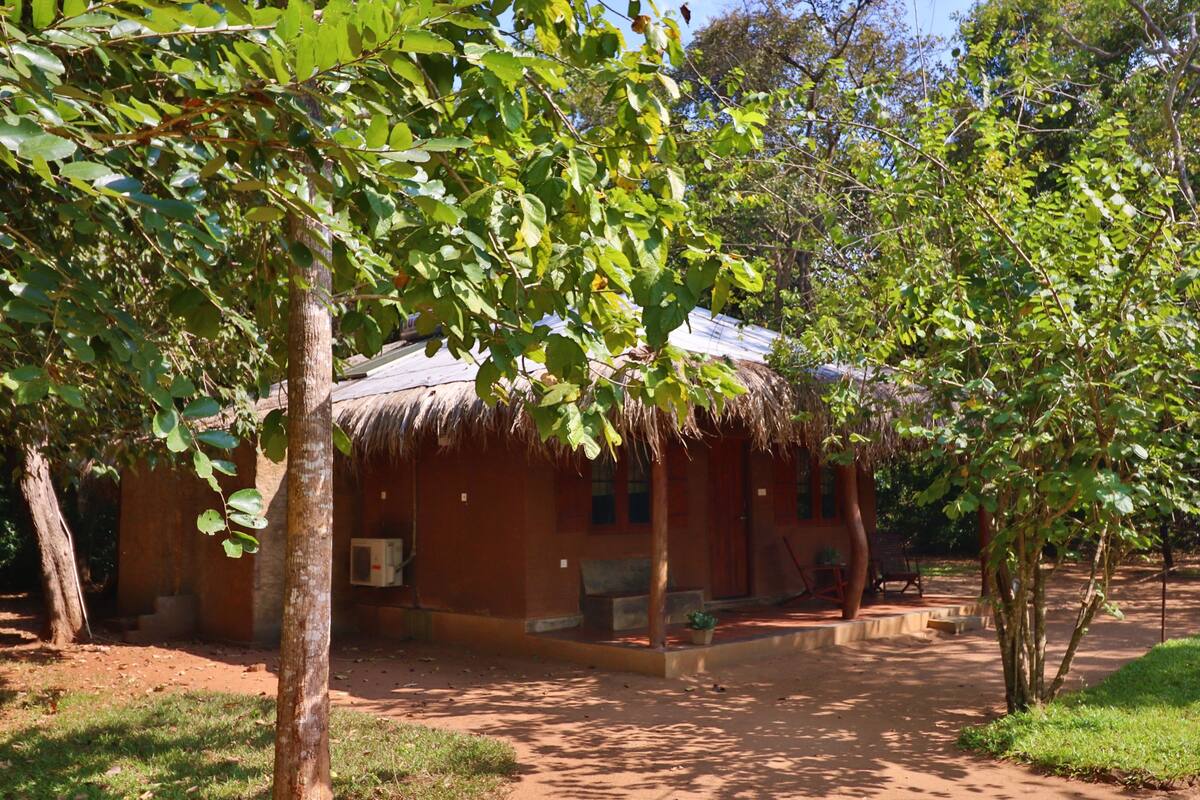 A rustic building with a thatched roof, surrounded by trees and a dirt ground.