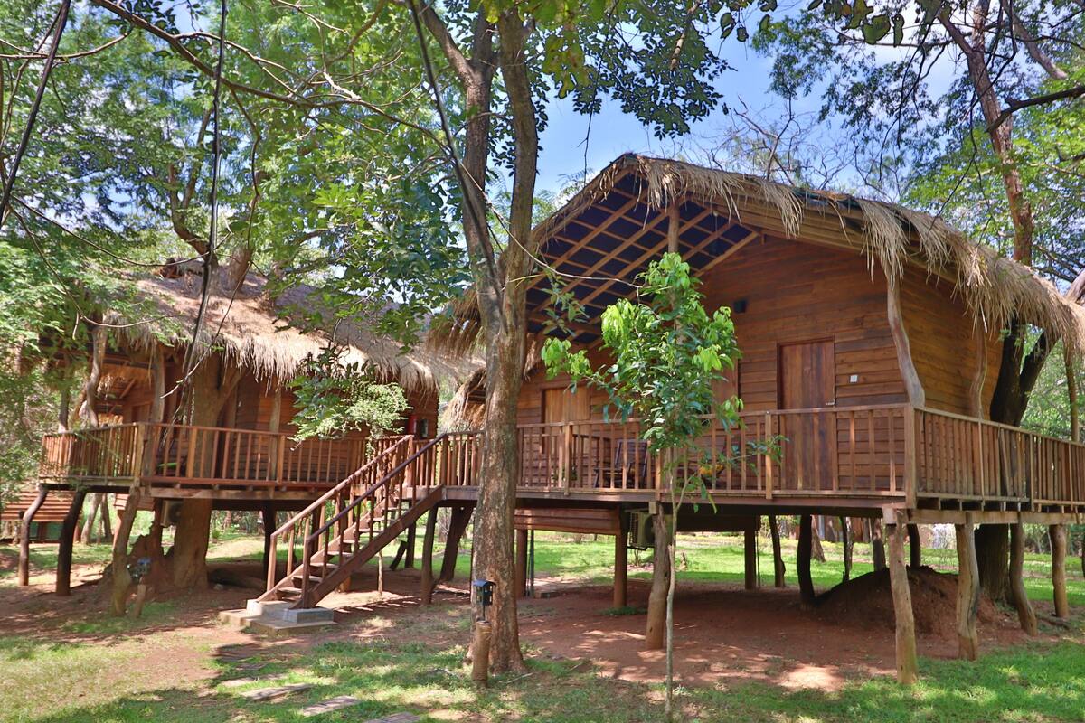 A wooden cabin with a thatched roof, elevated on stilts, surrounded by trees.