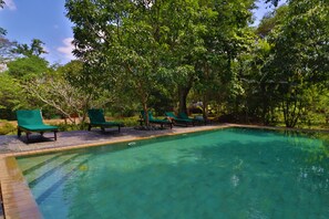 A swimming pool with green lounge chairs and trees in the background. - The Other Corner (Habarana)