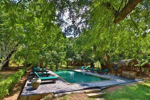 Piscine extérieure, chaises longues