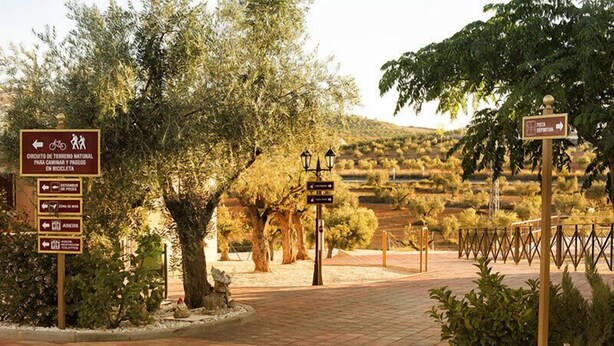 Property grounds - Complejo Rural La Tejera (Elche De La Sierra)