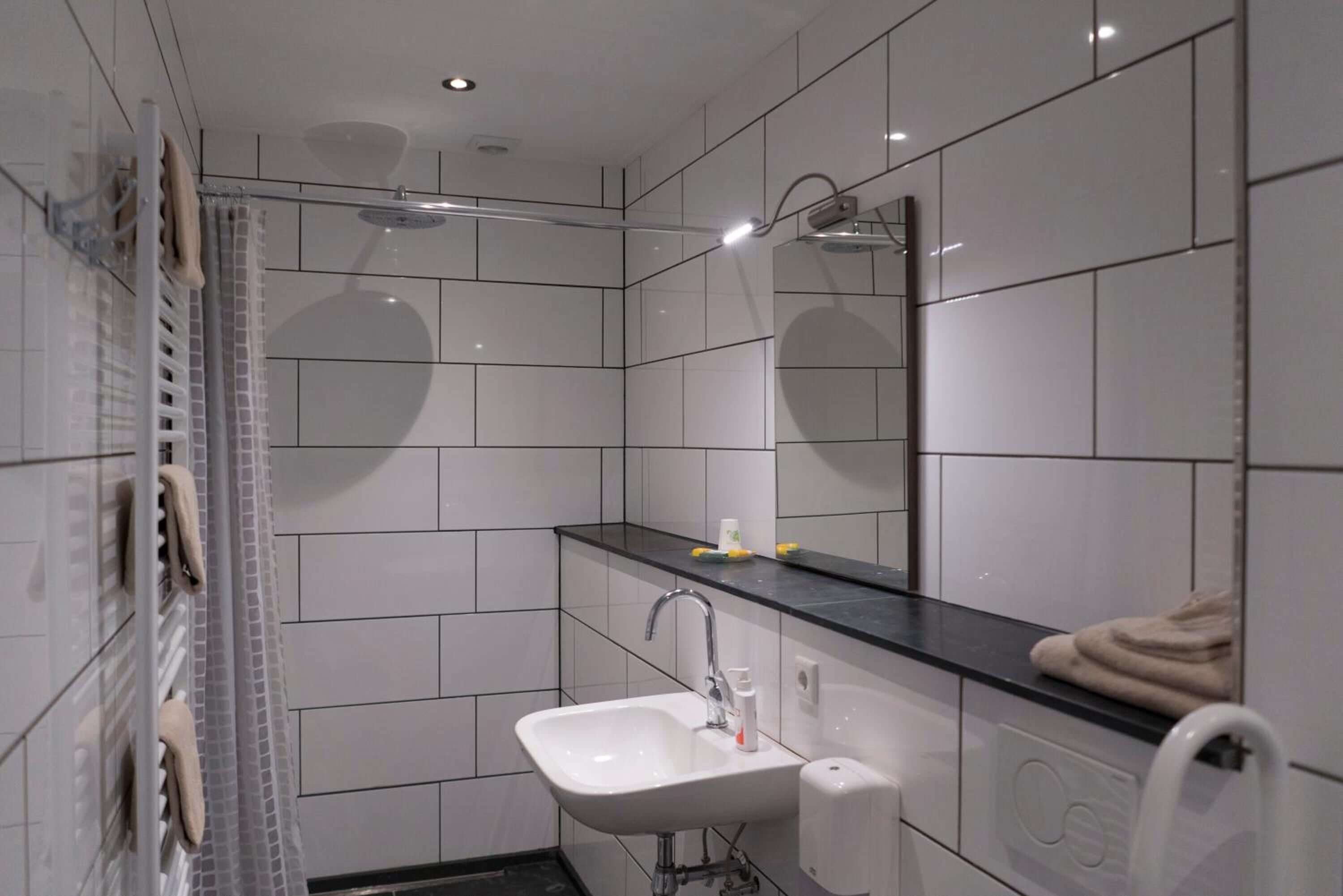 A modern bathroom with a shower, sink, and mirror.