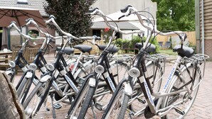 Varias bicicletas estacionadas en un área designada, con un edificio al fondo.