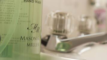 Free toiletries, hair dryer, shampoo, toilet paper