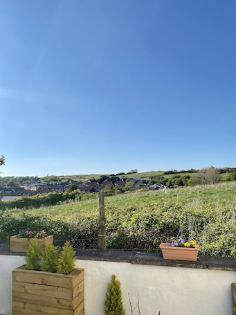 Garden. Number 19 Guesthouse