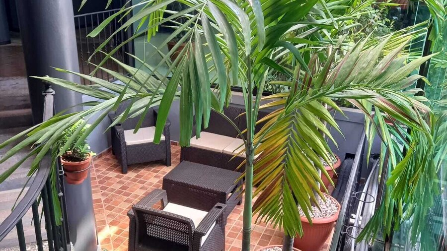 Lucky's Hotel y Casino