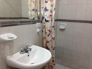 Regadera, regadera tipo lluvia, bidet, toallas 