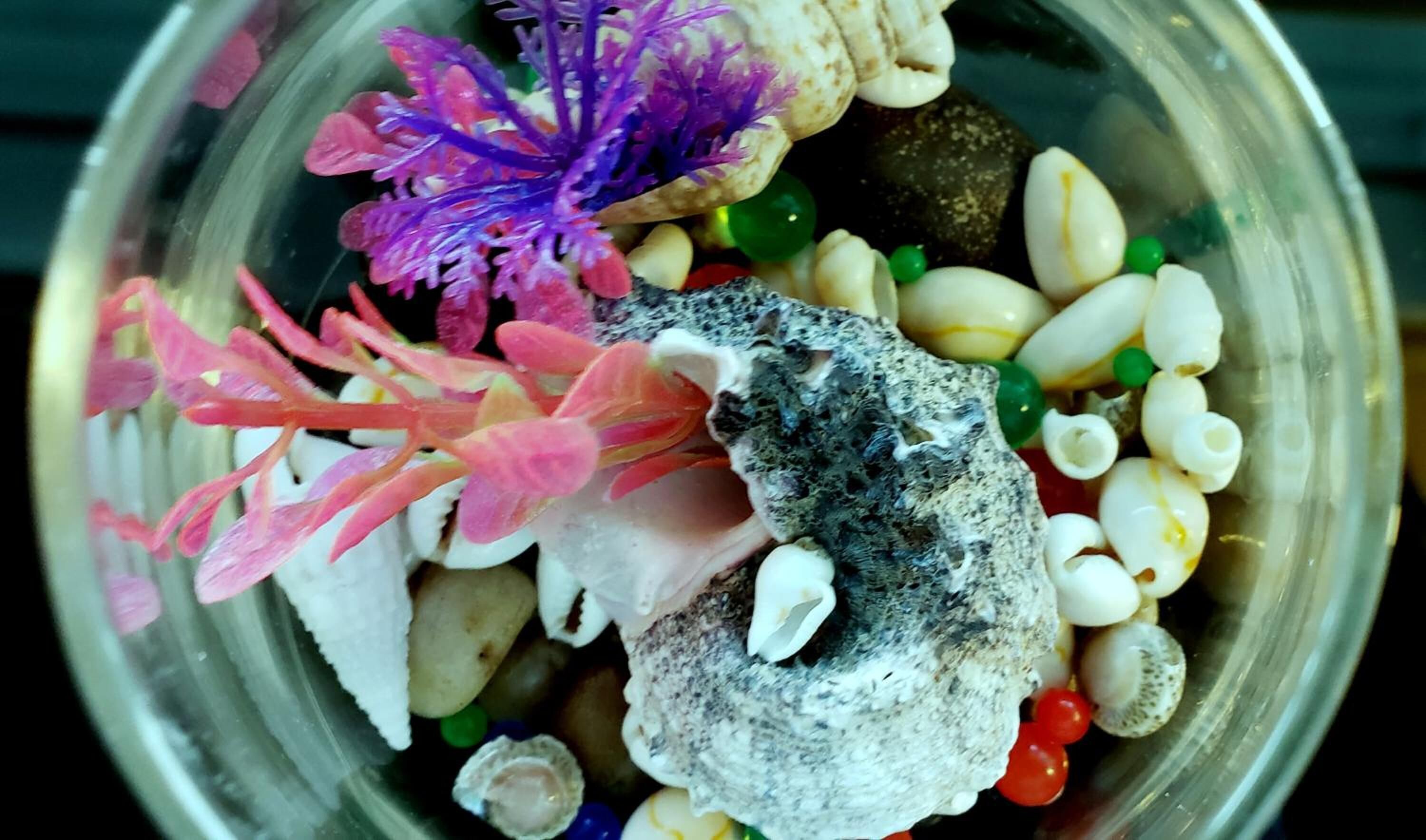 A bowl containing various objects including a shell, colorful coral, and small decorative items.