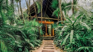 A rustic wooden structure with a thatched roof, surrounded by dense tropical foliage. - Nômade Temple Tulum (Tulum)