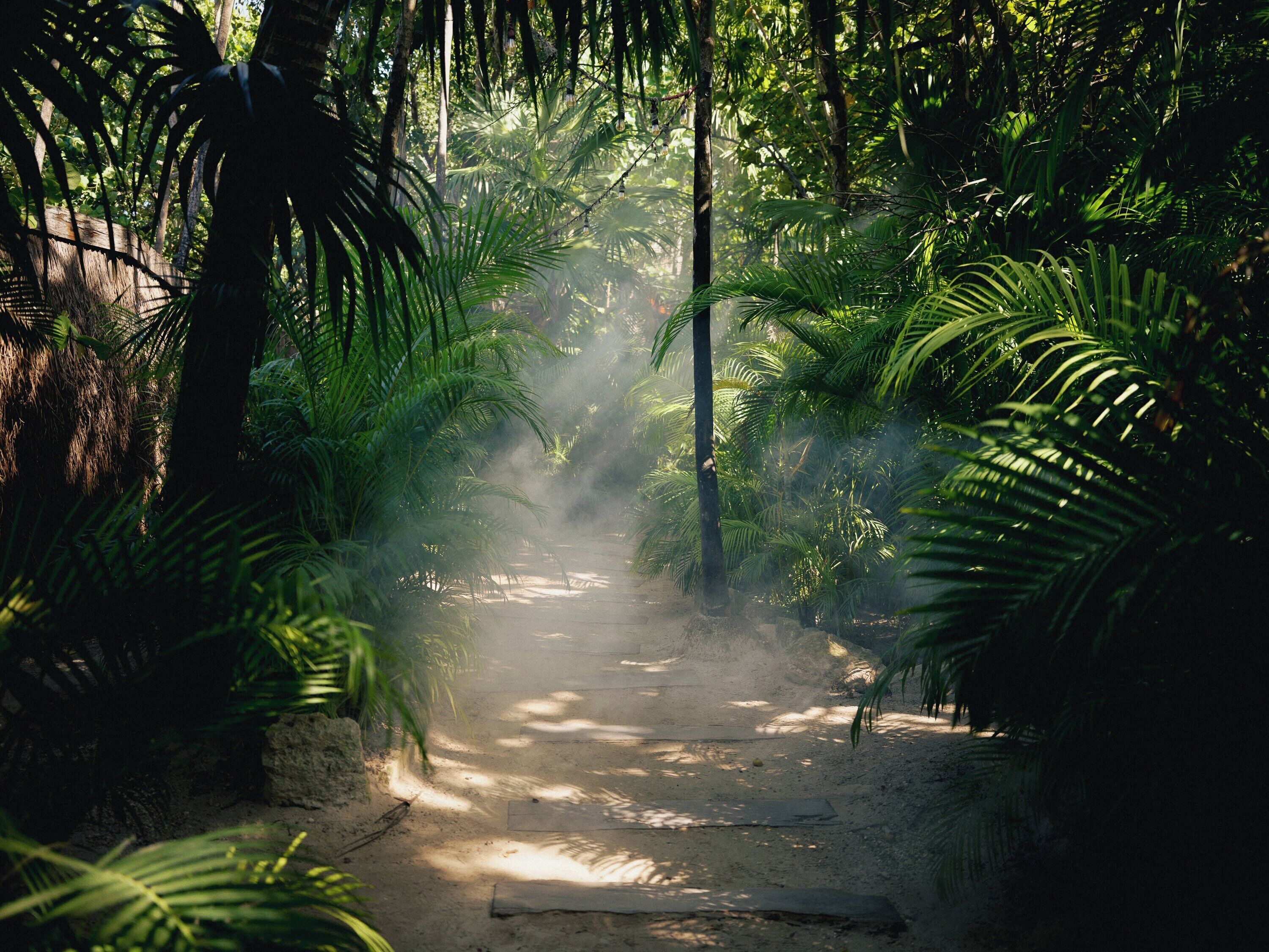 Foto - Nômade Temple Tulum