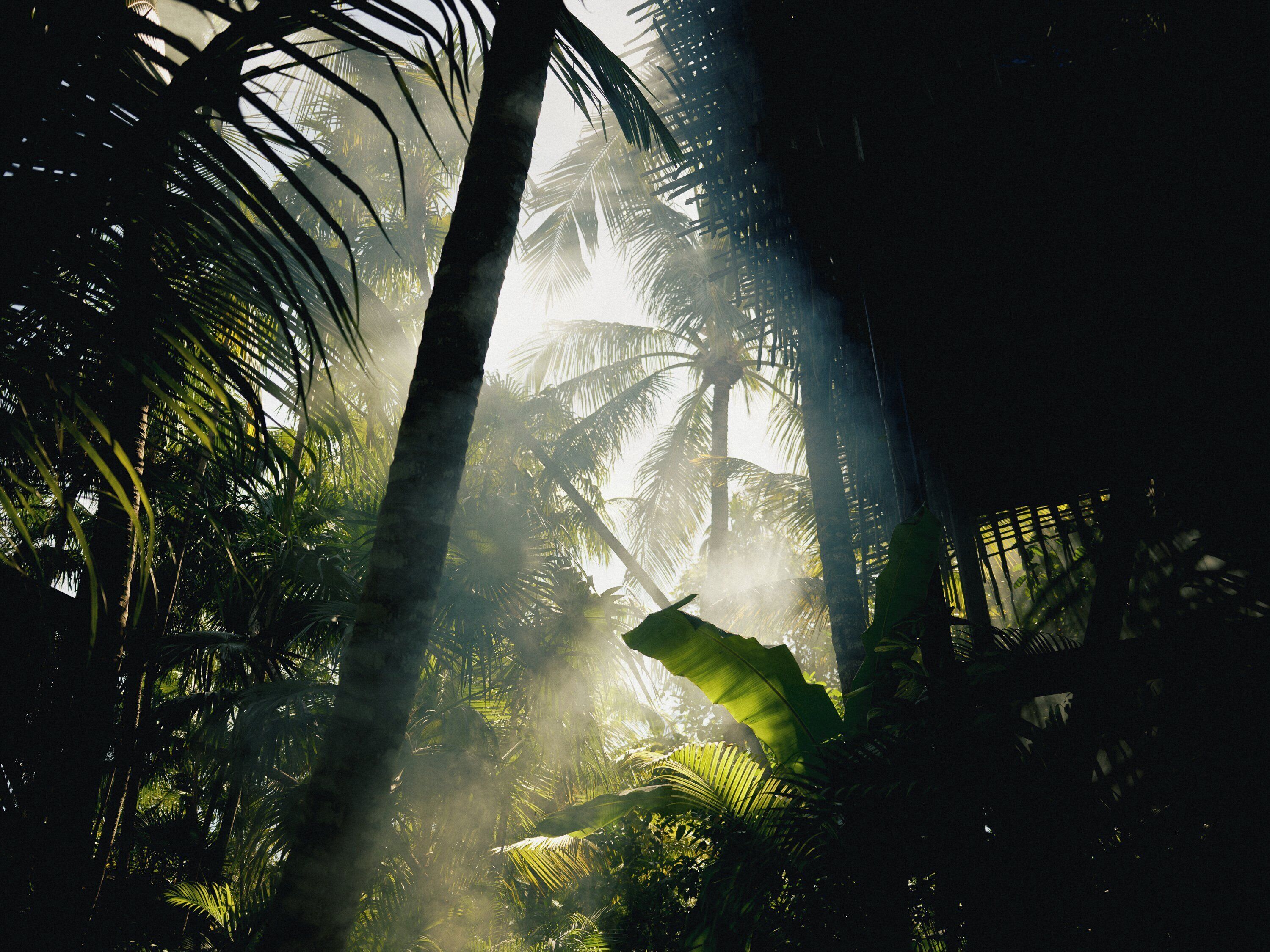 Foto - Nômade Temple Tulum