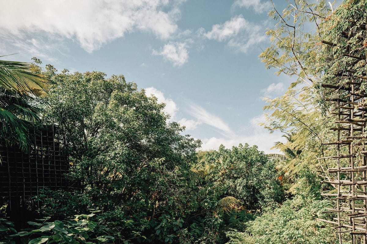 Deluxe Room, 1 Double Bed, Garden View (Treehouse) | Premium bedding, in-room safe, individually decorated