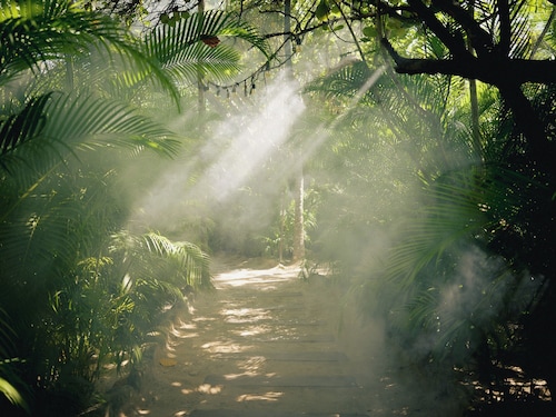 Nômade Temple Tulum