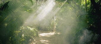 Nômade Temple Tulum