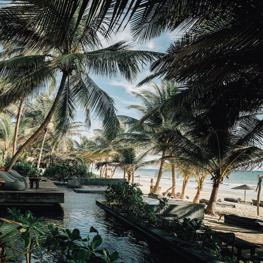 Outdoor pool, sun loungers