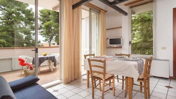 Basic Apartment, 1 Bedroom | Terrace/patio