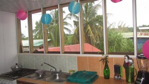 Una cocina con un lavabo, estufa y ventana con vistas a una zona residencial con palmeras.