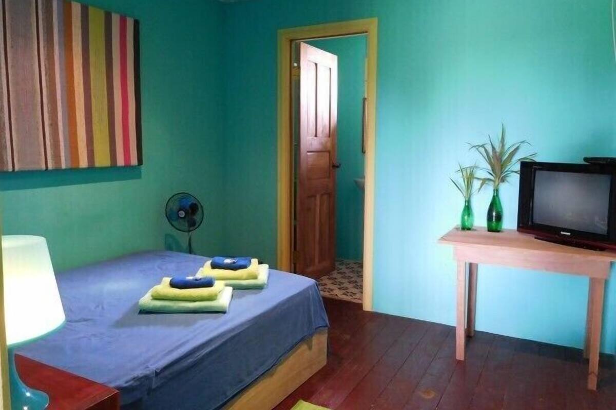 A room with a bed, a television, a fan, and a door leading to another room.