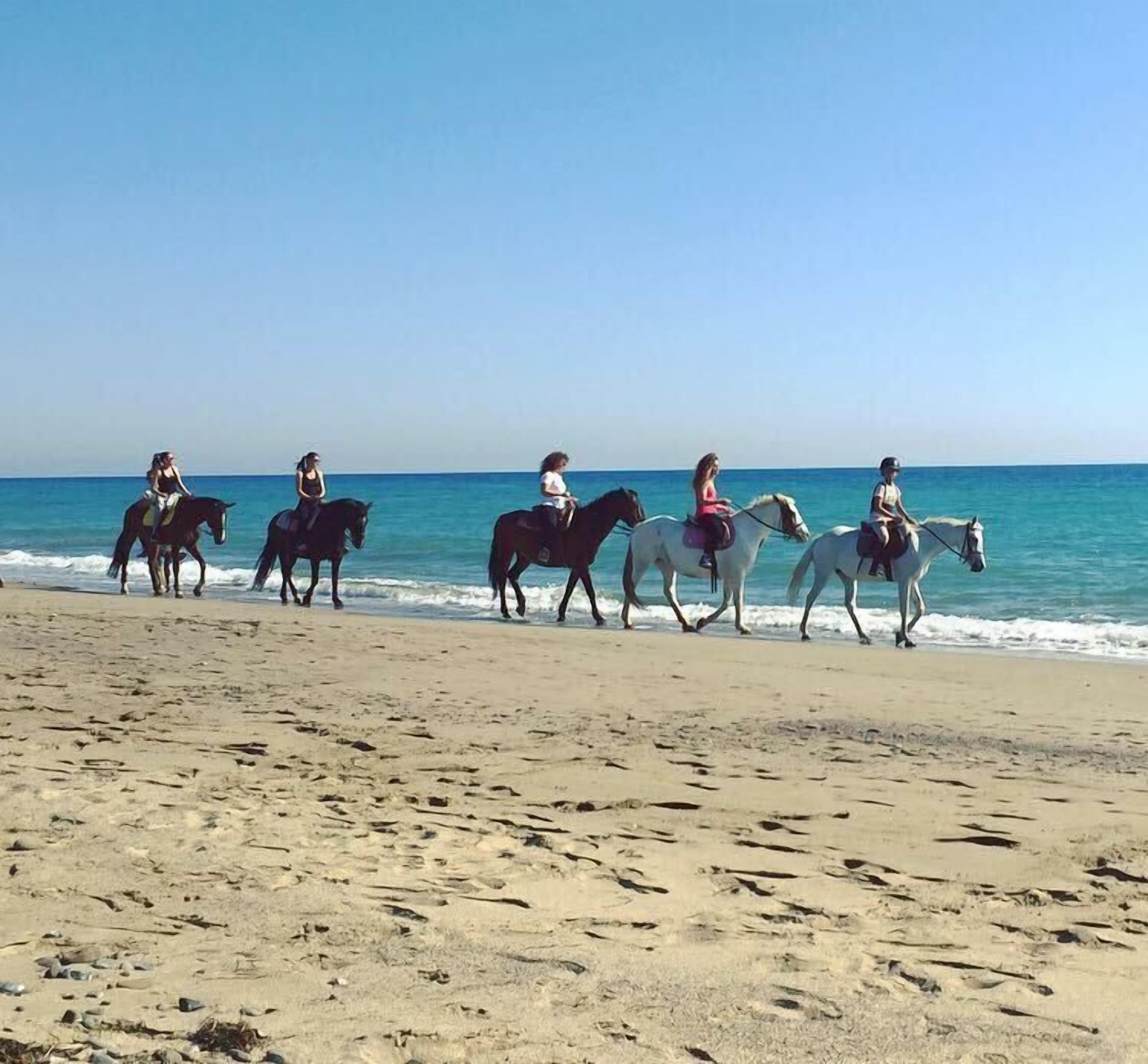 Una playa con caballos y jinetes.