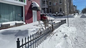 A red brick building with a sign for Barefoot Inn. - Barefoot Inn (Ottawa)