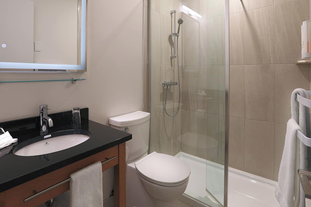 free toiletries, hair dryer, dressing gowns, towels