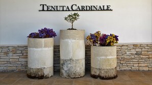 Tres macetas de hormigón con flores y un cartel que dice 'TENUTA CARDINALE'.