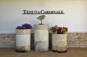 Tres macetas de hormigón con flores y un cartel que dice 'TENUTA CARDINALE'.