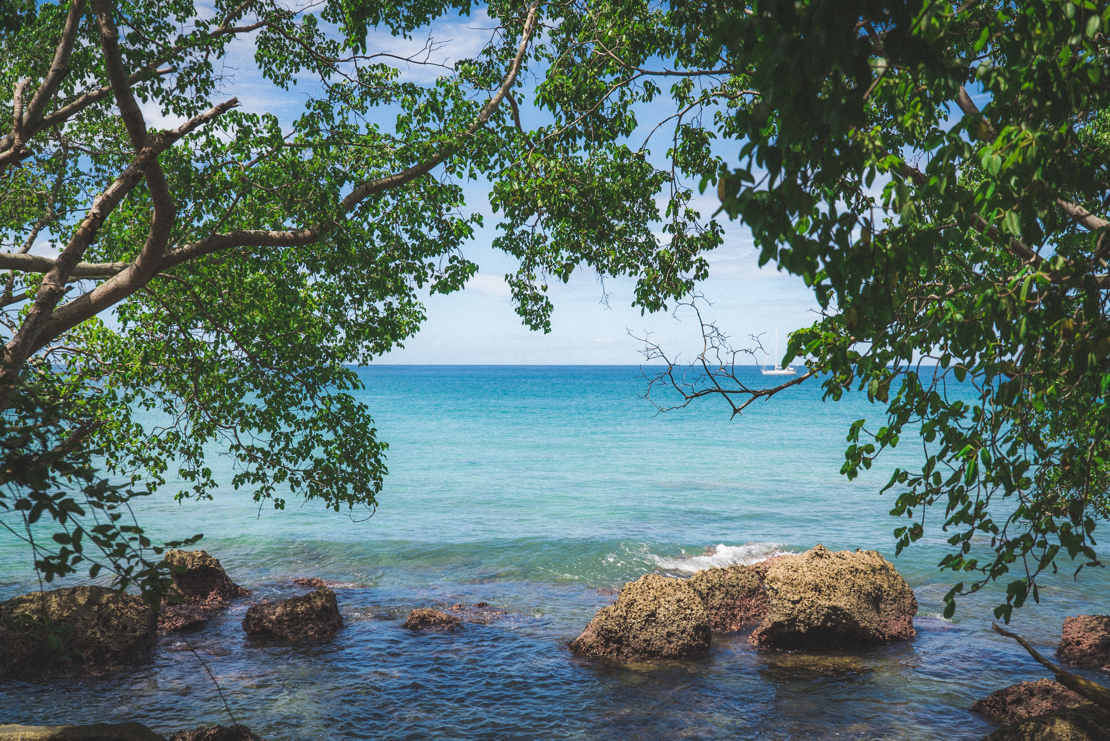 Escena costera con agua azul cristalina, costa rocosa y abundante vegetación verde.