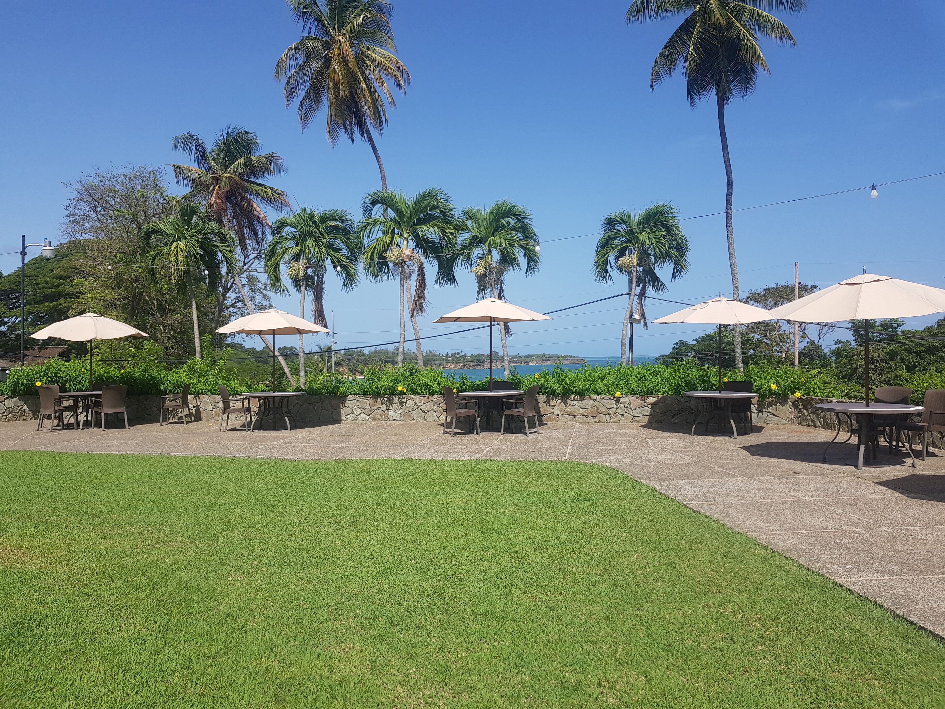 Un espace extérieur aménagé avec des tables et des chaises sous des parasols, entouré de palmiers et offrant une vue sur l’océan.