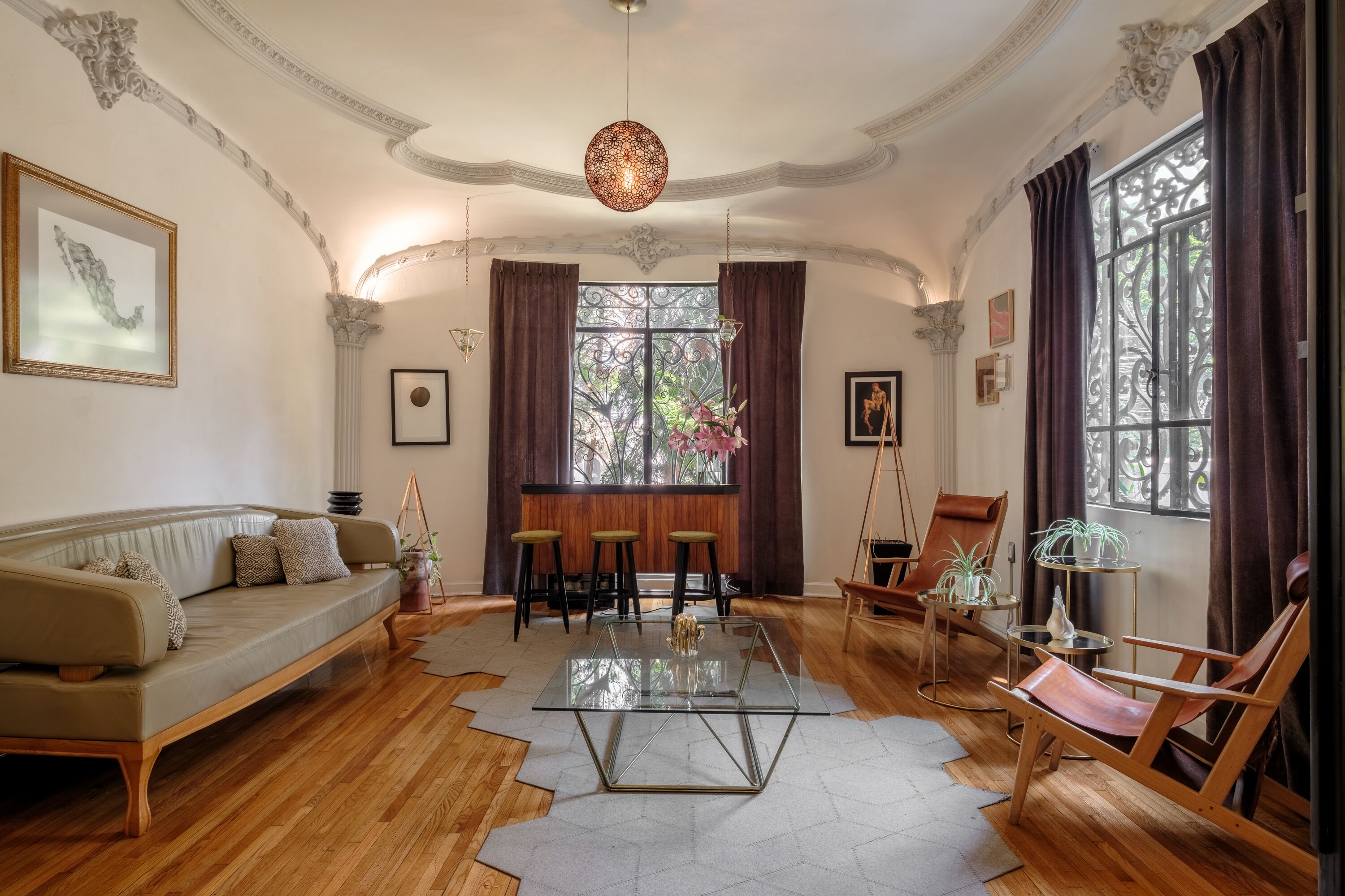 Foto - Pug Seal Polanco Allan Poe