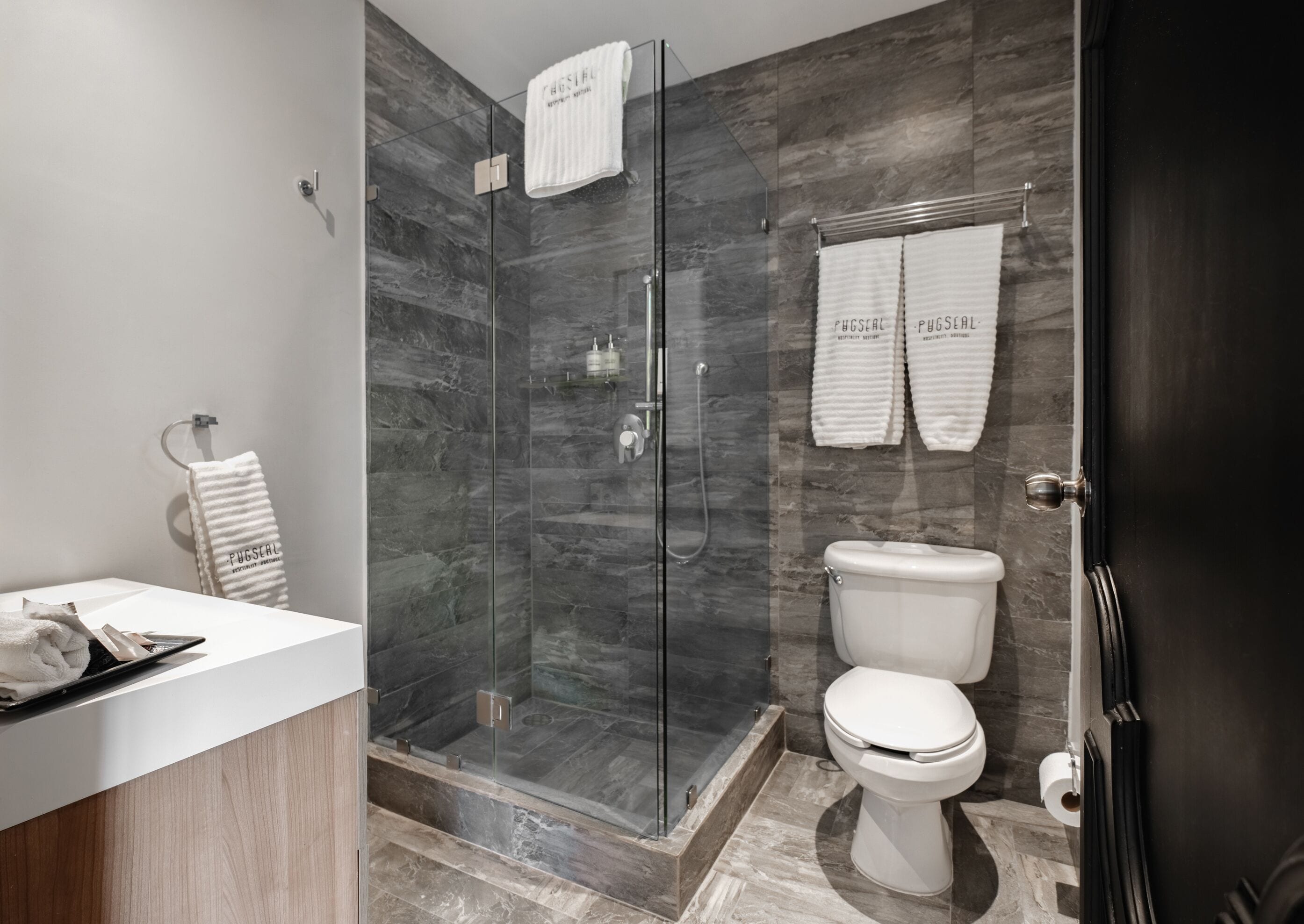 Foto - Pug Seal Polanco Allan Poe