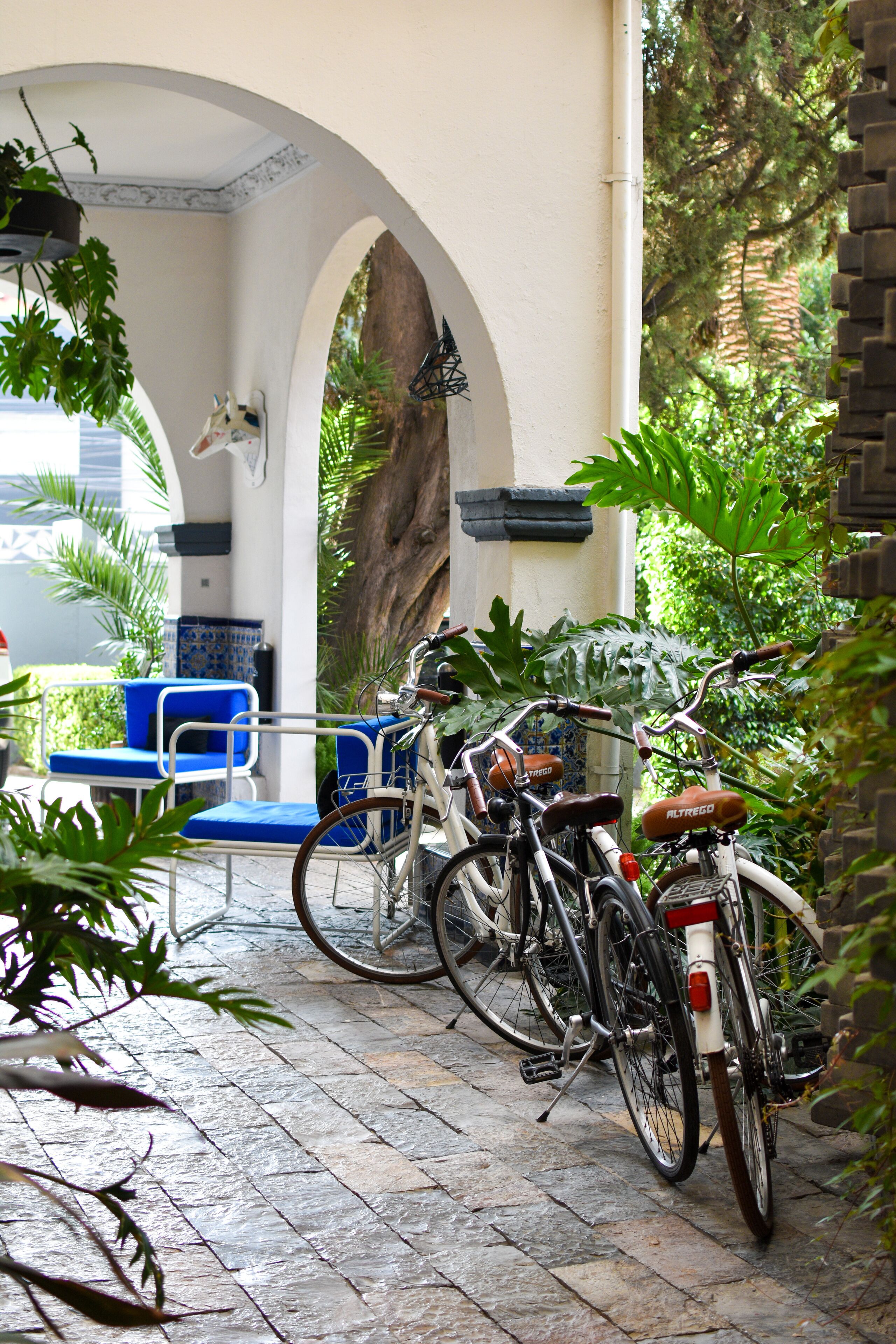 Foto - Pug Seal Polanco Allan Poe