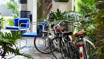 Un espacio al aire libre cubierto con dos bicicletas estacionadas, una silla azul y una planta en maceta.