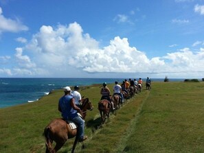 A group of people riding horses along a grassy path by the ocean. - Villa Madeleine (Micoud)